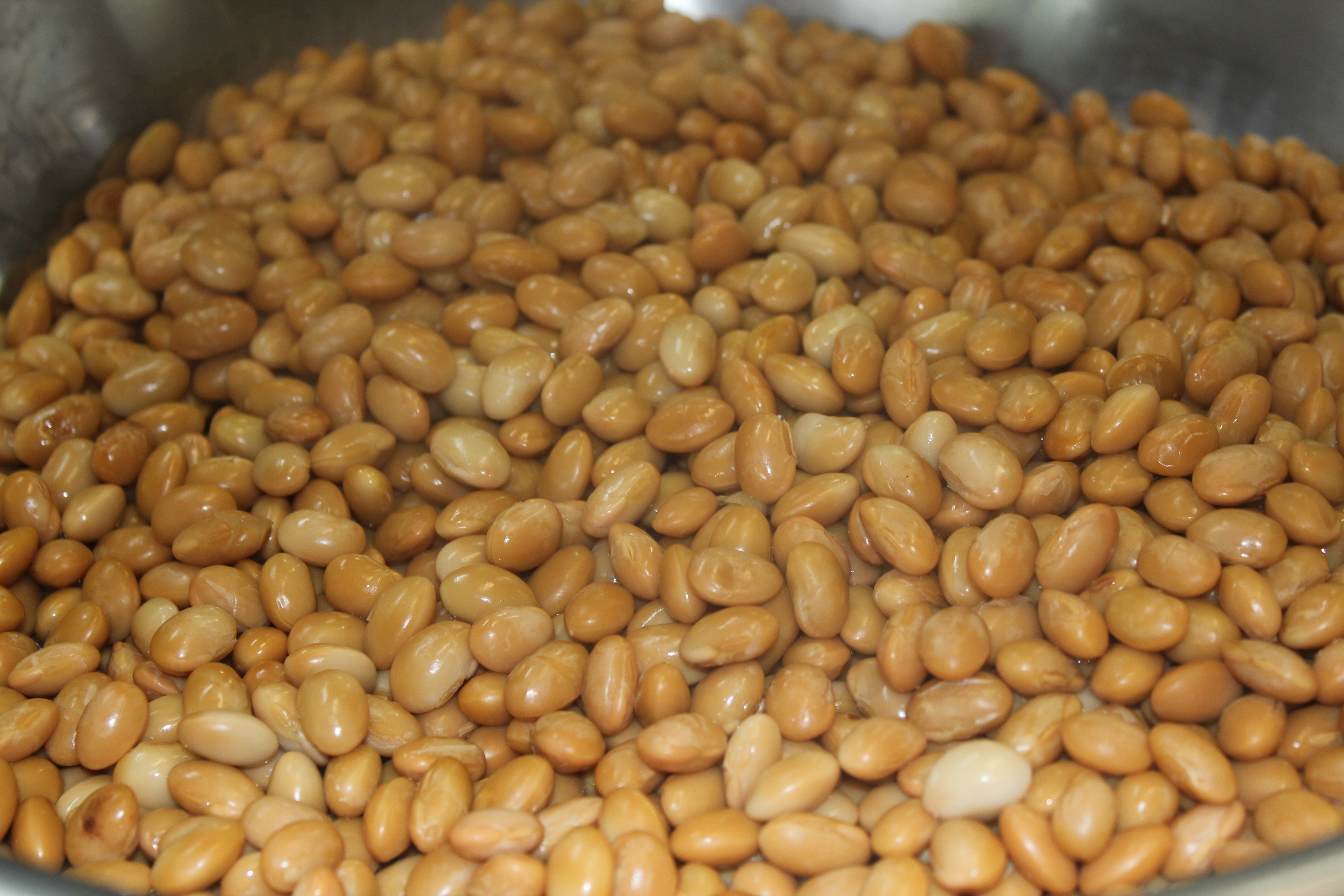 ホテル朝食をより美味しく健康的に彩る国産大豆の秘密